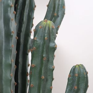 Plantes artificielles en plastique, cactus d'intérieur/extérieur, haute simulation, décoratives, fausses plantes vertes tropicales, paysage désertique - Product Image 2