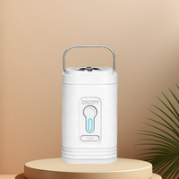 Pompe à air électrique sans fil portable 30W avec batterie rechargeable intégrée de 1200 mAh pour gonflables, coussins et canapés