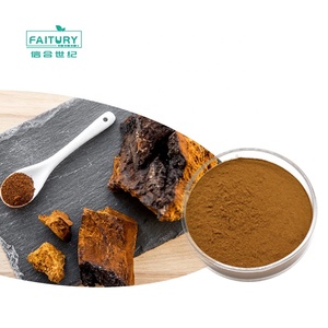 Wholesale Chaga Mushroom Powder Chaga <strong>Extract</strong> Powder Beta Glucan Polysaccharide Organic Chaga Mushroom <strong>Extract</strong> - Product Image 1