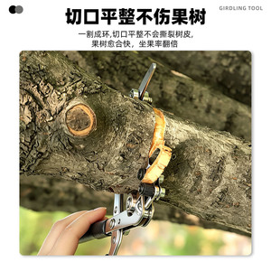 Yu Jian Adjustable Girdling Pliers 160mm Stainless Steel Manual Fruit <b>Tree</b> <b>Pruning</b> Garden <b>Tool</b> - Product Image 3