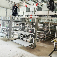 Un type treillis métallique galvanisé à chaud 4 pneus 128 poules système de ceinture de nettoyage automatique des déchets couche de cage de poulet