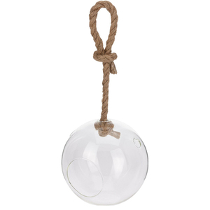 Globe <span class=keywords><strong>en</strong></span> <span class=keywords><strong>verre</strong></span> <span class=keywords><strong>pour</strong></span> plantes aériennes suspendues avec corde <span class=keywords><strong>en</strong></span> jute - Product Image 2