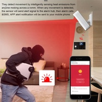 Détecteur de mouvement de porte portable OEM à LED, 433 MHz, code EV1527, en ABS, contrôlé par application, antivol pour la sécurité domestique