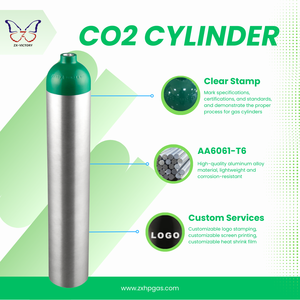<span class=keywords><strong>Bouteille</strong></span> d'oxygène médicale en aluminium ZX DOT-3AL E SIZE D de 2,9 L pour appareil respiratoire RPE - Product Image 2