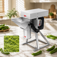 Machine à broyer l'ail de qualité supérieure, hachoir à ail automatique, équipement de cuisine commercial, industrie