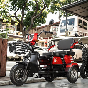 2025 vente chaude 48V Scooter électrique adulte conception de corps ouvert avec des tricycles électriques de riz coloré à vendre - Product Image 6