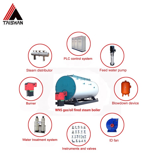 WNS Automatic Gas Fired High Efficiency Double-drum Steam Boiler Water Tube Structure Horizontal Design TAISHAN Brand for Food