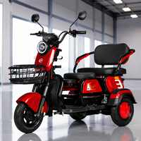 Tricycle électrique pliable 3 places, scooter de mobilité 1000W, batterie lithium 48V 60V 72V, trike électrique familial avec panier de chargement