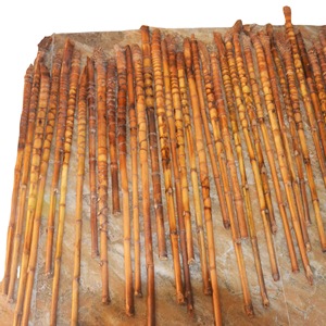 Yuzhu Bamboo Walking Sticks 1.5-2.5*55-75Cm Made From Tortoise Shell And Luohan Bamboo For Craft Supplies - Product Image 5