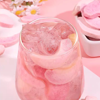 Fabrikant's Rechte Fruitcrisps Vriesgedroogde Perzik
