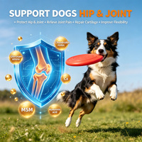 Poudre Multivitaminée 15-en-1 Hyperprotéinée pour Animaux de Compagnie, Glucosamine Chondroïtine Oméga 3 Probiotiques pour l'Immunité et les Articulations des Chiens et des Chats (Vente en Gros)