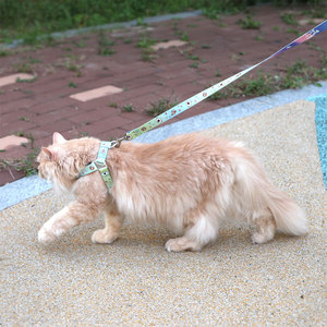 ชุดสายรัดอกสุนัขลายการ์ตูนโปโรโรเพ็ท โปบี้ ผ้าตาข่ายระบายอากาศ สายรัดอกปรับได้ ห่วงโลหะรูปตัว D ชุดพาสุนัขเดินเล่น - Product Image 5