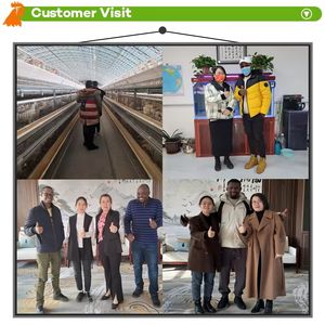 กรงเลี้ยงไก่ไข่แบบอัตโนมัติ ระบบป้อนอาหารอัตโนมัติ สำหรับฟาร์มไก่ไข่ แบบกรงแบตเตอรี่  ชนิด A พร้อมระบบทำความสะอาดมูลไก่แบบหมุนมือ  มีจำหน่าย - Product Image 5