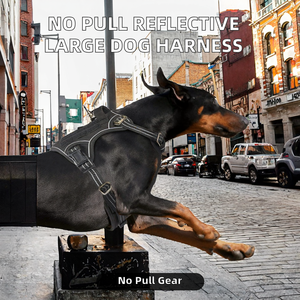 Arnés para Perro Talla XL, Sin Tirones, Modelo Popular <span class=keywords><strong>de</strong></span> TikTok, Reflectante, Ecológico, <span class=keywords><strong>de</strong></span> Nailon, para Pasear Mascotas - Product Image 2