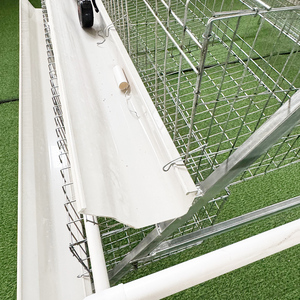 3-laags legbatterijkooien voor pluimveebedrijven, gegalvaniseerd, type A, voor 10.000 kippen - Product Image 5