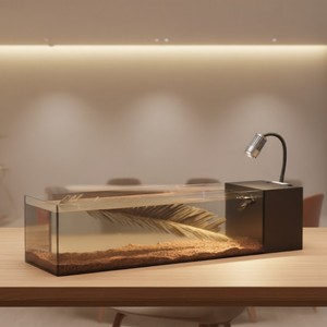 Acquario in Vetro con Filtro Laterale, Ordini all'Ingrosso Accettati per Partner Globali di Prodotti per Animali - Product Image 5