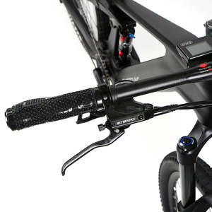 Mon tricycle électrique tout-terrain et urbain pour adultes My Store M820 2023 avec moteur 200-250W, vert foncé, E-bike M820, moteur 2023, E-mountain - Product Image 4