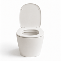 WC suspendu moderne en céramique avec design à rinçage facile et finition lisse pour salles de bain d'appartements urbains