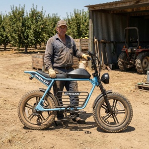 <span class=keywords><strong>Vélo</strong></span> <span class=keywords><strong>électrique</strong></span> tout-terrain robuste de style Scrambler avec freins à disque hydrauliques, idéal pour l'entretien des vergers et les allées - Product Image 1