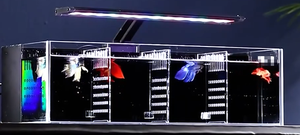 Acuario de Aislamiento de Cristal Ultra Transparente para 5 Bettas con Luz LED WRGB y Filtro Trasero, Tanque de Cría Slim Fighter para Sala de Estar - Product Image 3