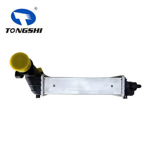 TONGSHI OEM 1307012080 Système de refroidissement automobile <span class=keywords><strong>Intercooler</strong></span> de moteur pour <span class=keywords><strong>JUMPER</strong></span> BOX/BUCATO BUS 230 - Product Image 4