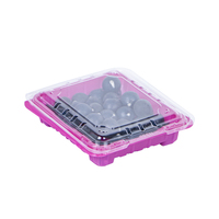 Conteneur en plastique transparent pour fruits (raisins, cerises, myrtilles et tomates) avec trou d'aération, 250g, 500g, 1000g