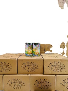 Livraison Gratuite 2.0 Scarlet et Violet PTCG Collection de Cartes de Voyage Psyduck 151 <span class=keywords><strong>Carte</strong></span> Wang <span class=keywords><strong>Cadeau</strong></span> Jouet 20 Boîtes Pokémon 151 Cartes Vol.2 - Product Image 5