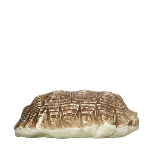 Ciotola in Ceramica Organica Effetto Tartaruga MISCE 26x18cm 96cl - Product Image 2