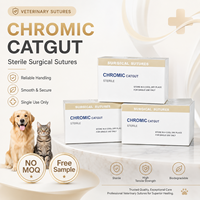 Fil de Suture Chirurgical Vétérinaire en Catgut Chromique Stérile et Résorbable pour Usage en Clinique Vétérinaire