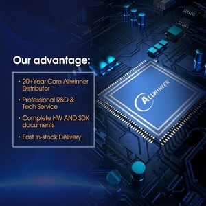 ซีพียูสมาร์ตวิชัน AI รุ่นดั้งเดิม Allwinner V553ไม่มีโปรเซสเซอร์เข้ารหัสวิดีโอ H.265รองรับการจดจำใบหน้าระบบปฏิบัติการแบบเรียลไทม์ไอซี V553 Allwinner V853 - Product Image 4