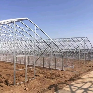 Serre <span class=keywords><strong>agricole</strong></span> à simple portée en film plastique transparent de grande taille et économique, avec structure en tube d'acier circulaire et abri de sol - Product Image 5