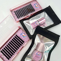 Cachemire mat foncé le plus sombre B CC D C Curl Lash Extension Trays 2025 Extensions de cils à courbure classique