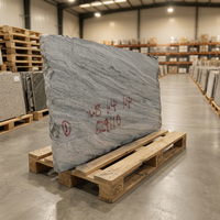 TY Shandong Granit Gris Blanc Naturel Écologique Moderne, Petite Dalle Brossée, Solution Complète pour Plans de Travail de Cuisine de Villa et de Parc