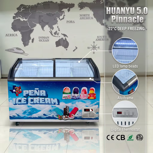 Vetrina Congelatore Commerciale per Gelato con Porta Scorrevole in Vetro, Illuminazione Interna a LED e Prestazioni di Congelamento Profondo - Product Image 2