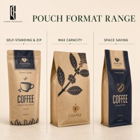 Sachet de café personnalisé en kraft avec soufflet latéral, 500g, 1lb, 5lb, thermoscellable, pour grains torréfiés et emballage de marques de café