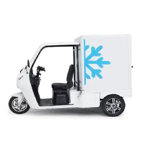 عربة توصيل بضائع بيتزا كهربائية من eec أرخص دراجة كهربائية لتوصيل الطعام