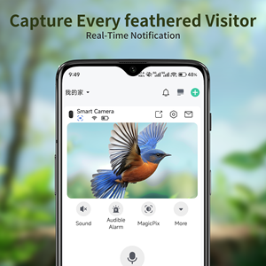 कैमरा थाई पक्षी मान्यता के साथ 3mp hd पक्षी फीडर सौर ऊर्जा तत्काल अधिसूचना पूर्ण HD पक्षियों की स्वचालित रिकॉर्डिंग - Product Image 5