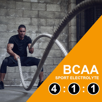 Poudre d'électrolytes BCAA à rapport 4:1:1, 30 portions, ingrédients naturels de haute qualité, vente directe, produit phare pour l'exportation transfrontalière