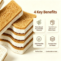 Lot de 12 éponges de cuisine biodégradables de 2 cm, en cellulose naturelle, compostables, éponges à récurer en noix de coco et en noix, écologiques pour la cuisine et le bain