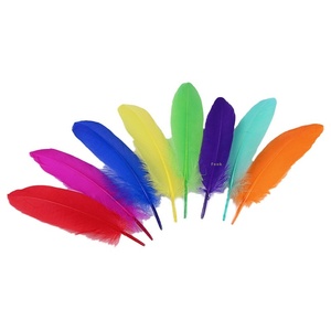 Vendita diretta della fabbrica piume d'oca sciolte fiori decorativi galleggianti piante per gioielli fai da te accessori di abbigliamento artigianale - Product Image 5