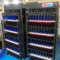 Machine de classement et de calibrage de cellules de batterie prismatiques 5V 10A, 5V 20A, 5V 30A pour l'assemblage de packs de batteries au lithium