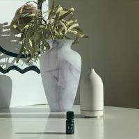 Humidificateur diffuseur d'huiles essentielles d'aromathérapie à ultrasons en céramique de 160ml et diffuseur d'arômes en un seul produit