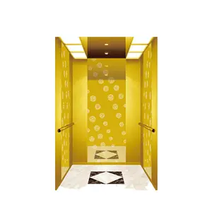 中国制造了优秀品质的人电梯家用电梯室内和室外使用的住宅电梯