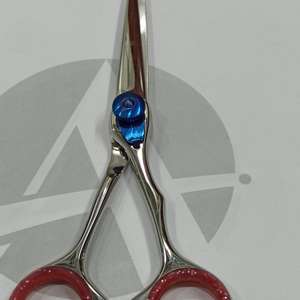 Ciseaux de coiffure professionnels en acier inoxydable lame tranchante Salon de coiffure ciseaux de coupe de cheveux Portable Durable pour Salon - Product Image 4