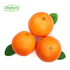 Naranjas <span class=keywords><strong>Valencia</strong></span> Frescas, Exportación <span class=keywords><strong>de</strong></span> China, 68-75mm, Caja <span class=keywords><strong>de</strong></span> 15kg, Proveedor Mayorista - Product Image 2