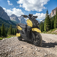 Moto électrique personnalisée haute vitesse, nouvelle moto électrique à vitesse maximale, fabriquée en usine