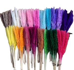 Decoración de Halloween Flor Hogar Arreglo floral Flor seca Reed Flower Bouquet Small Reed Grass <span class=keywords><strong>Pampas</strong></span> - Product Image 1