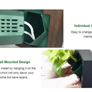 Cadre photo, pot de fleurs, jardin vertical, décoration murale pour salon, décoration intérieure - Product Image 4