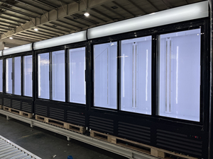 Présentoir à double porte coulissante pour réfrigérateur, bouteille de boisson, cola, étagère verticale en verre pour réfrigérateur - Product Image 4