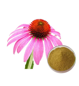 Suministro de Extracto de Equinácea <span class=keywords><strong>Purpurea</strong></span> Orgánica de Alta Calidad, Muestra Gratuita, Mejor Precio, Extracto de Equinácea <span class=keywords><strong>Purpurea</strong></span> Orgánica en Venta - Product Image 5